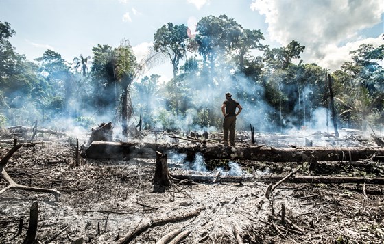 Image: Amazon rainforest fire