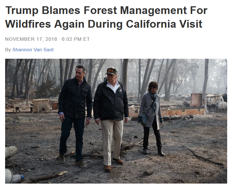 A group of people standing in a forest AI-generated content may be incorrect.